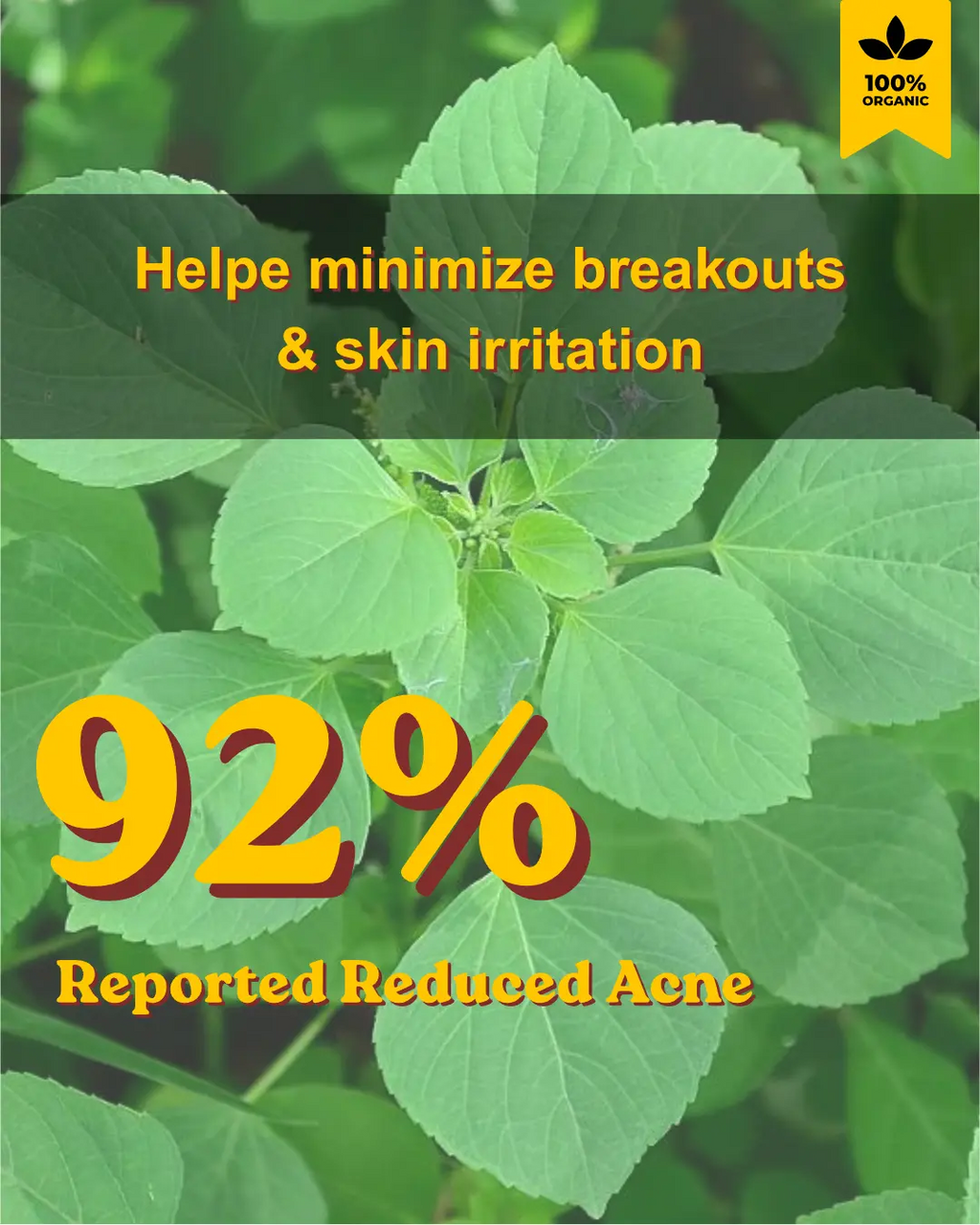 Green leafy plant with text about reducing acne and skin irritation