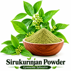 Sirukurinjan Powder