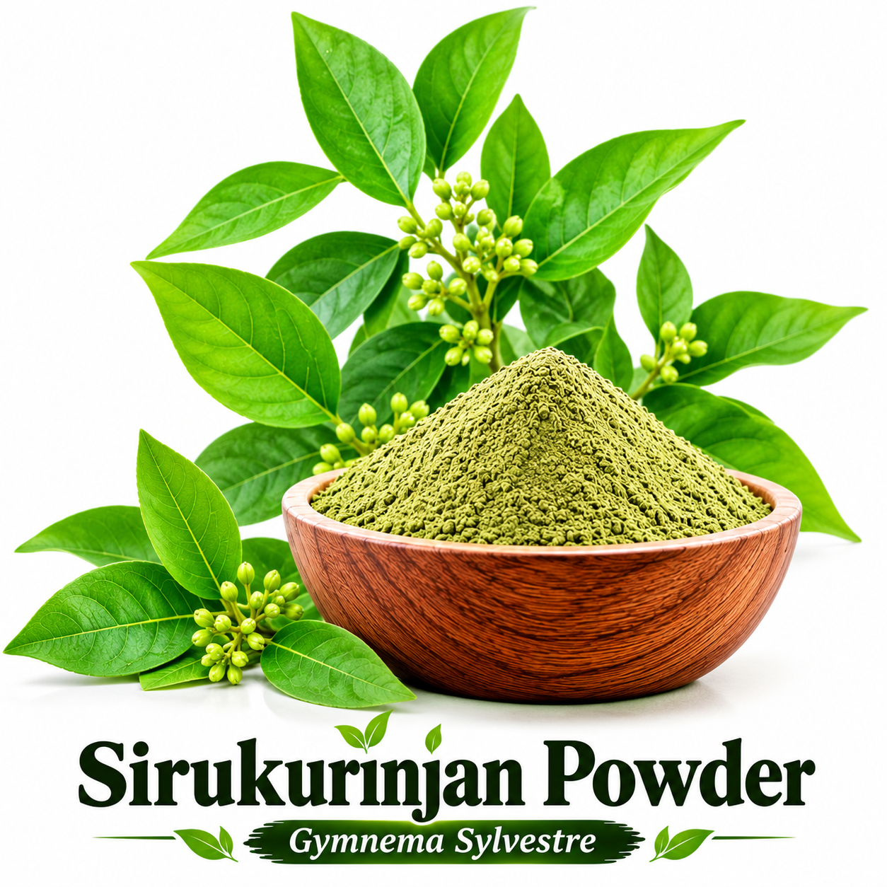 Sirukurinjan Powder