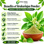 Sirukurinjan Powder
