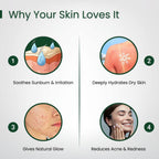 How to use Aloe Vera Gel for face and hair skincare routine