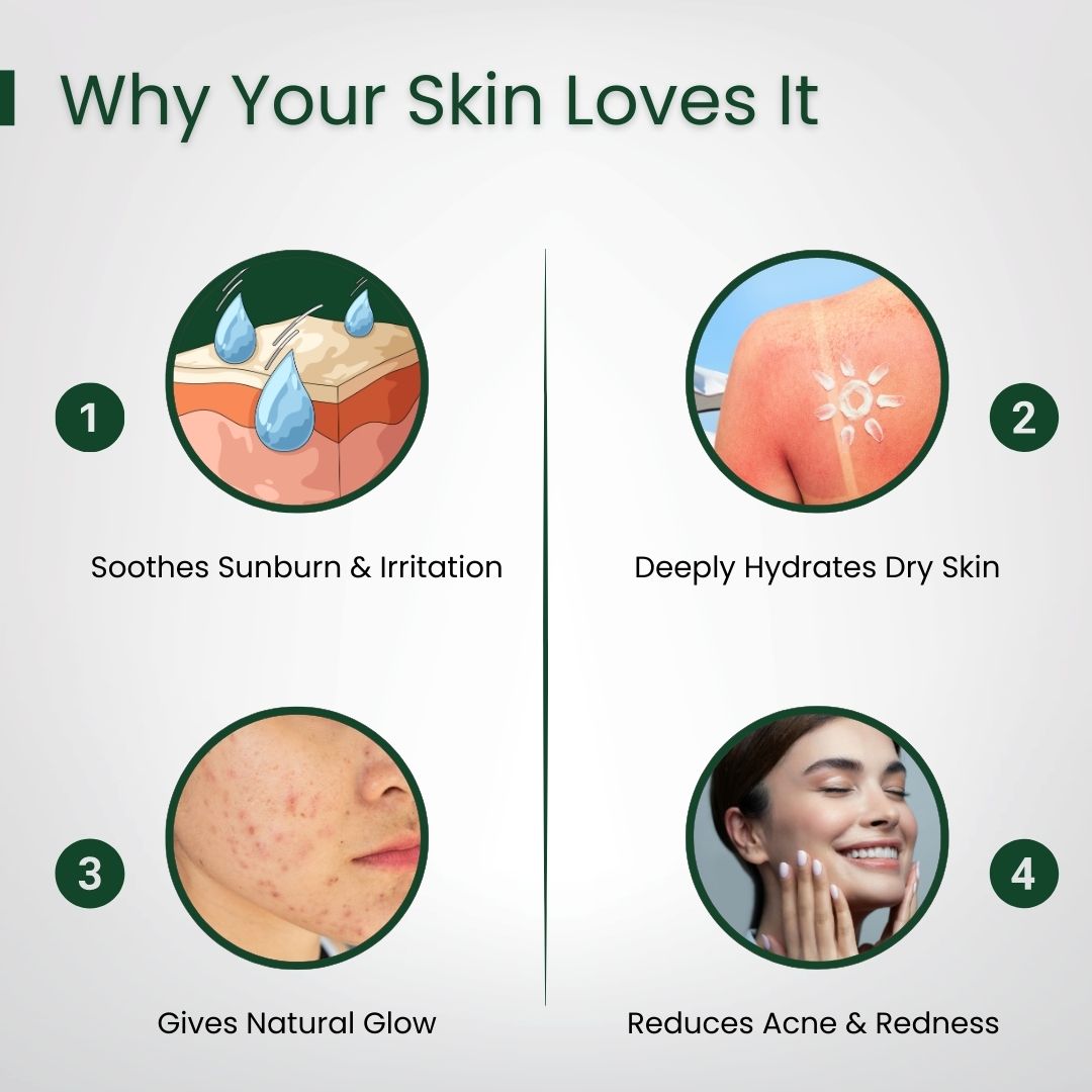 How to use Aloe Vera Gel for face and hair skincare routine